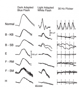 Figura de Ayaggari et al., 2000 (2)
